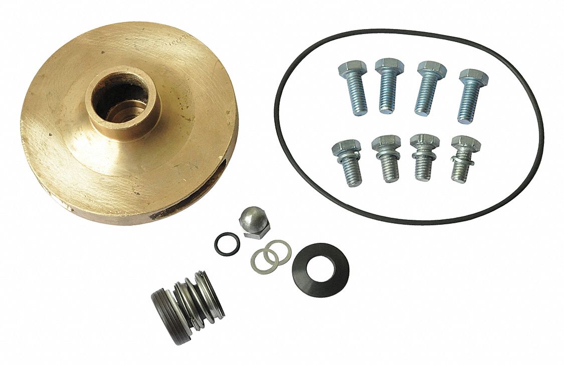 DAYTON Pump Repair Kit Fits Dayton Brand 21TH4221TH42 Grainger