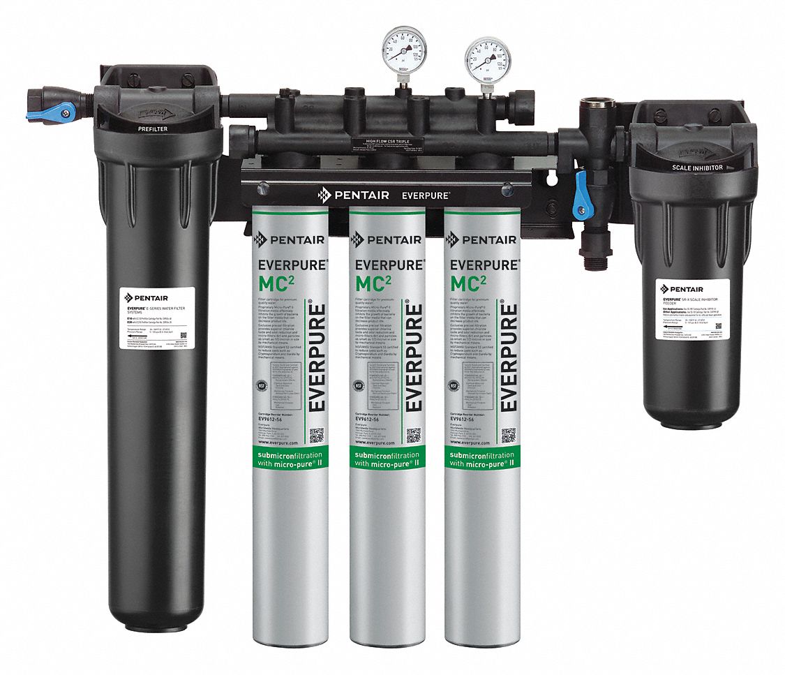 PENTAIR/EVERPURE 3/4 in Aluminum Water Filter System, 5 gpm, 125 psi