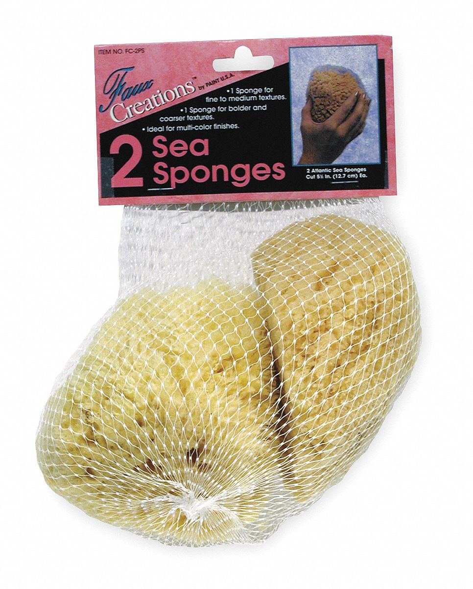 GRAINGER APPROVED Natural Sponge, Natural, 5 1/2 in Length, PK 2 2AJU52AJU5 Grainger