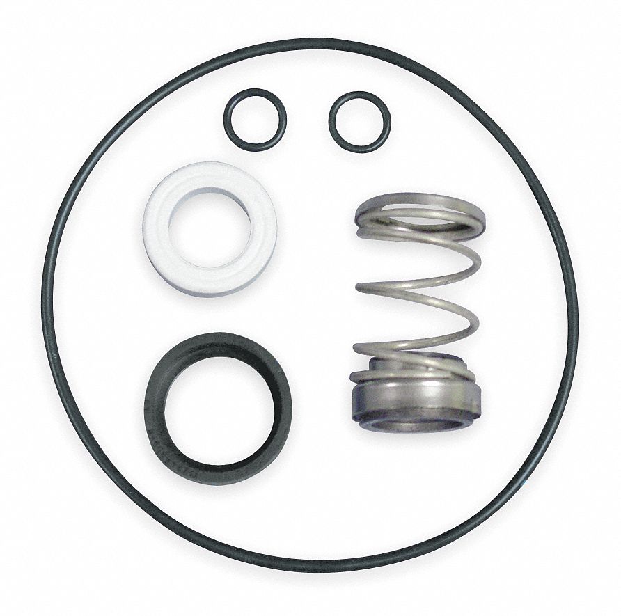 Shaft Seal Kit, Regenerative, Includes Seal, Seat, and Pump ORings