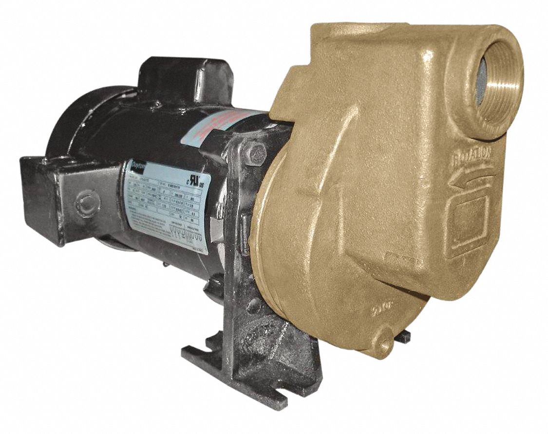 DAYTON 3/4-HP Self Priming Centrifugal Pump, 52 ft. Max. Head, 3/8" Max