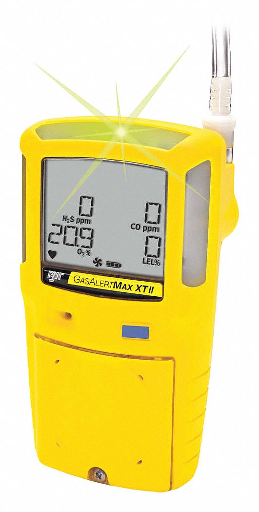 BW TECHNOLOGIES, Hydrogen Sulfide, 0 to 200 ppm, Single Gas Detector