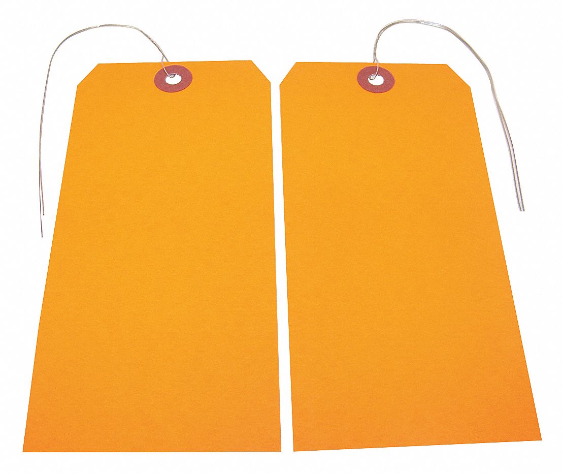 BADGER TAG & LABEL CORP Blank Shipping Tag, Tag Material Paper