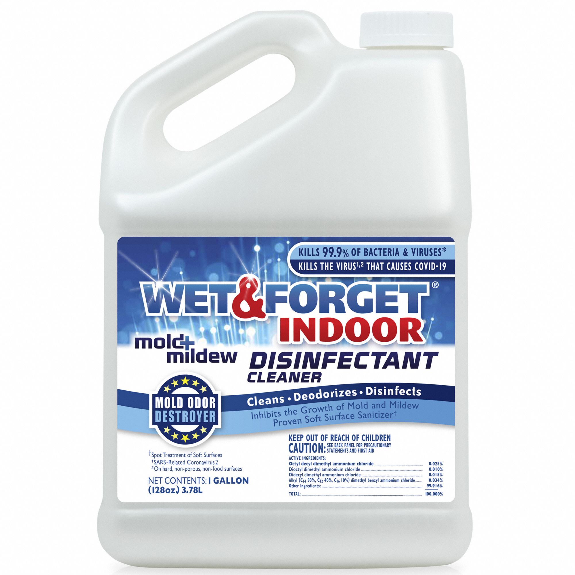 WET AND Jug, 1 gal Container Size, Mold and Mildew Disinfectant