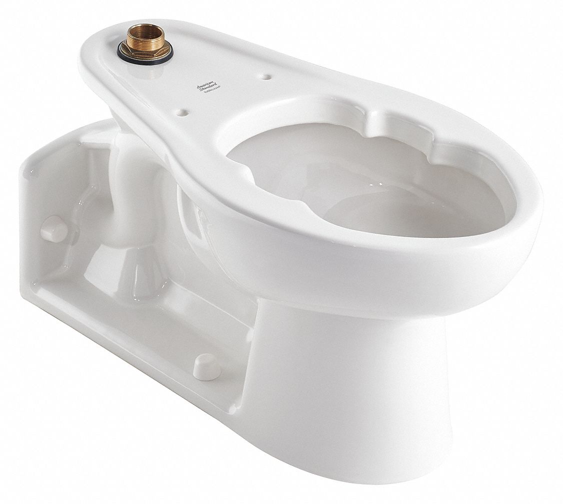 AMERICAN STANDARD Elongated, Floor, Flush Valve, Bedpan Holding Toilet