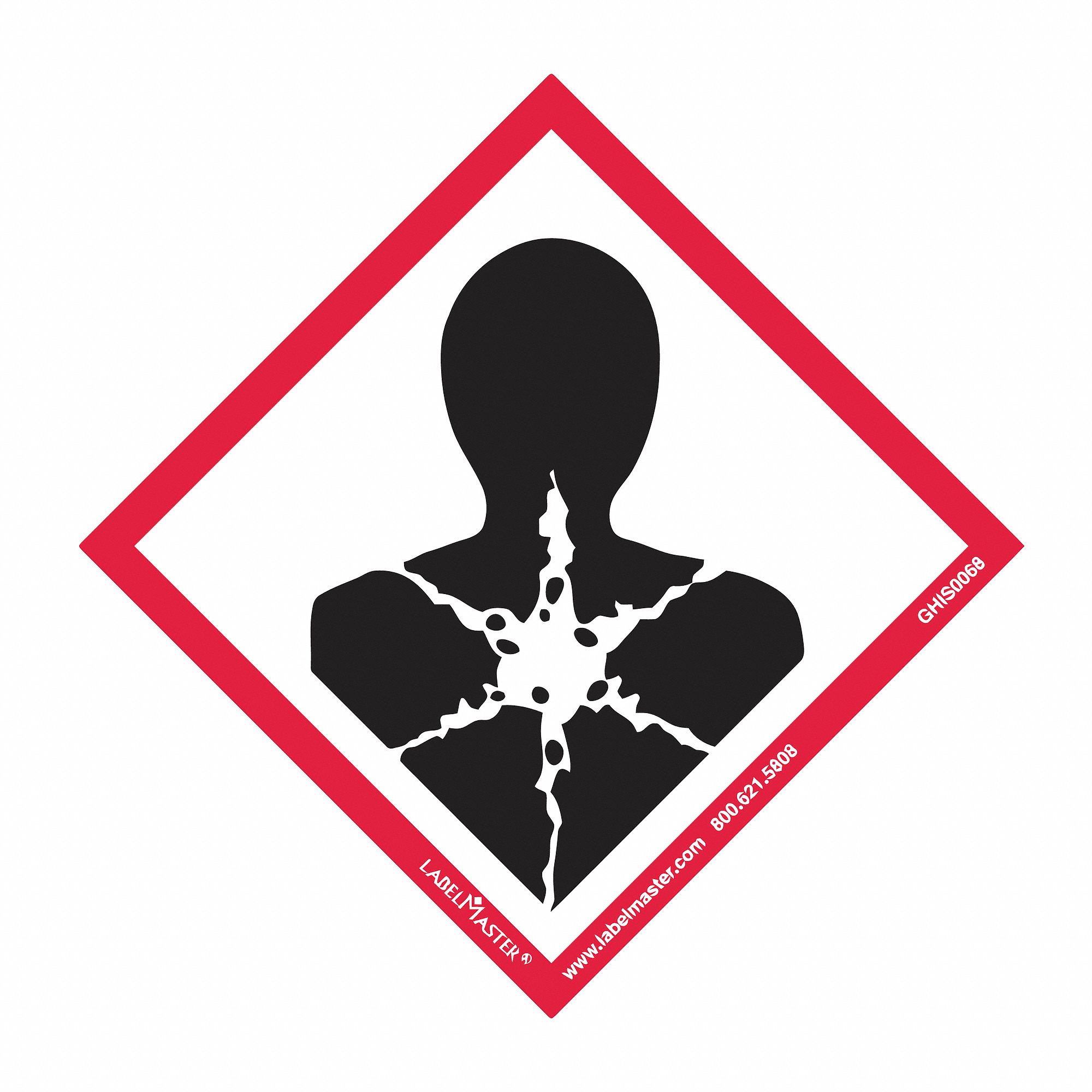 LABELMASTER GHS Health Hazard Label, Paper, 4 in Height, 4 in Width