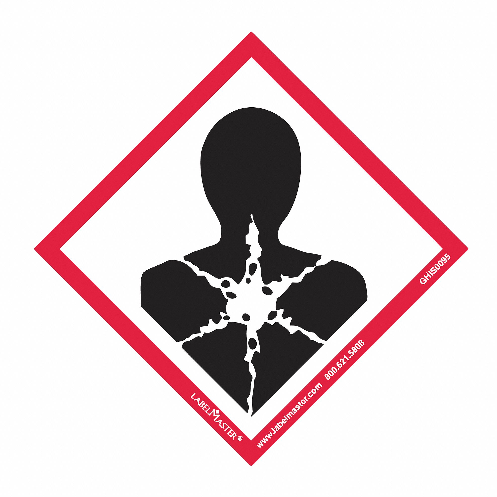 LABELMASTER GHS Health Hazard Label, Polypropylene, 4 in Height, 4 in