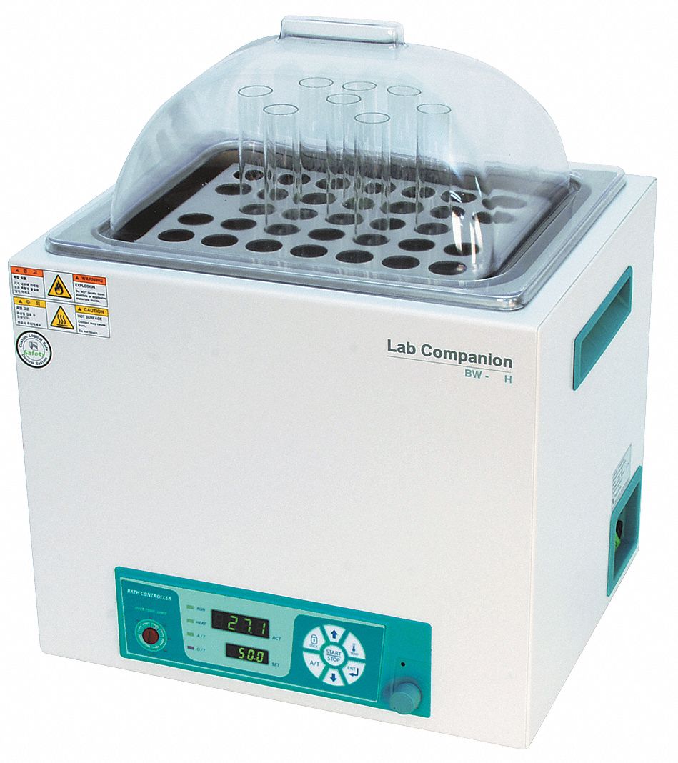 LAB COMPANION Water Bath, 5L, 120 V 36XL17BW05H Grainger
