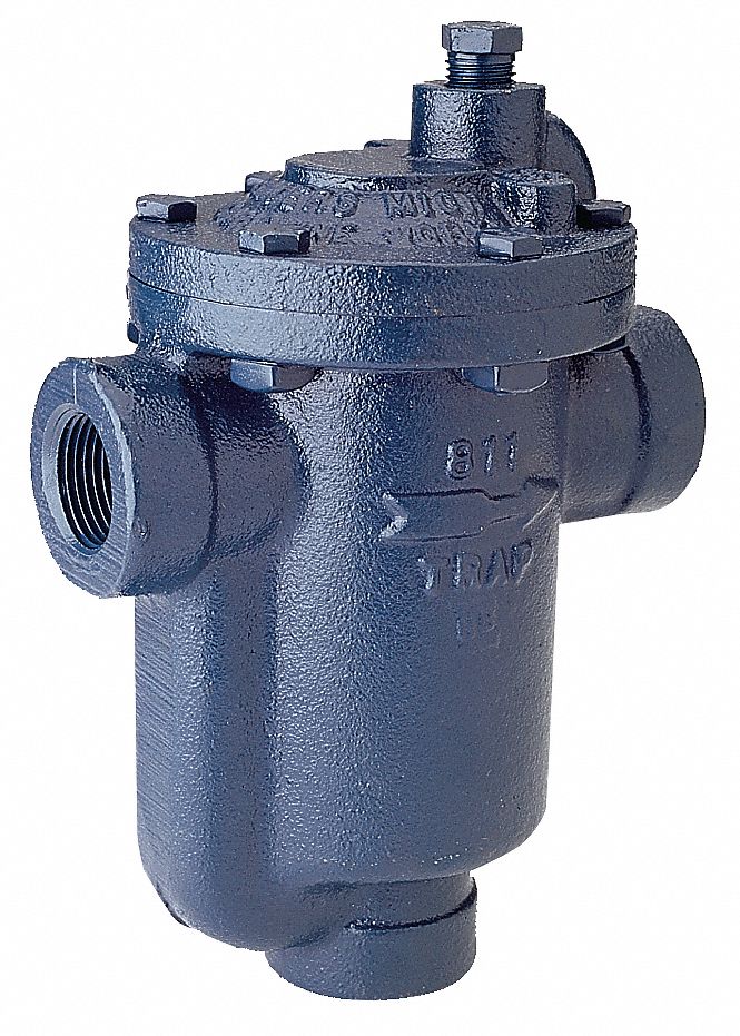 ARMSTRONG INTERNATIONAL Steam Trap, 1 in (F)NPT Connections, 5 in End