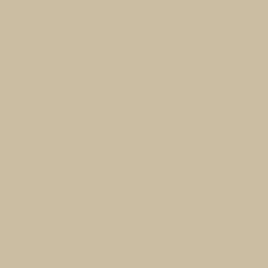 PRATT & LAMBERT Exterior Paint For Metal/Concrete/Brick/Plastic/Stucco