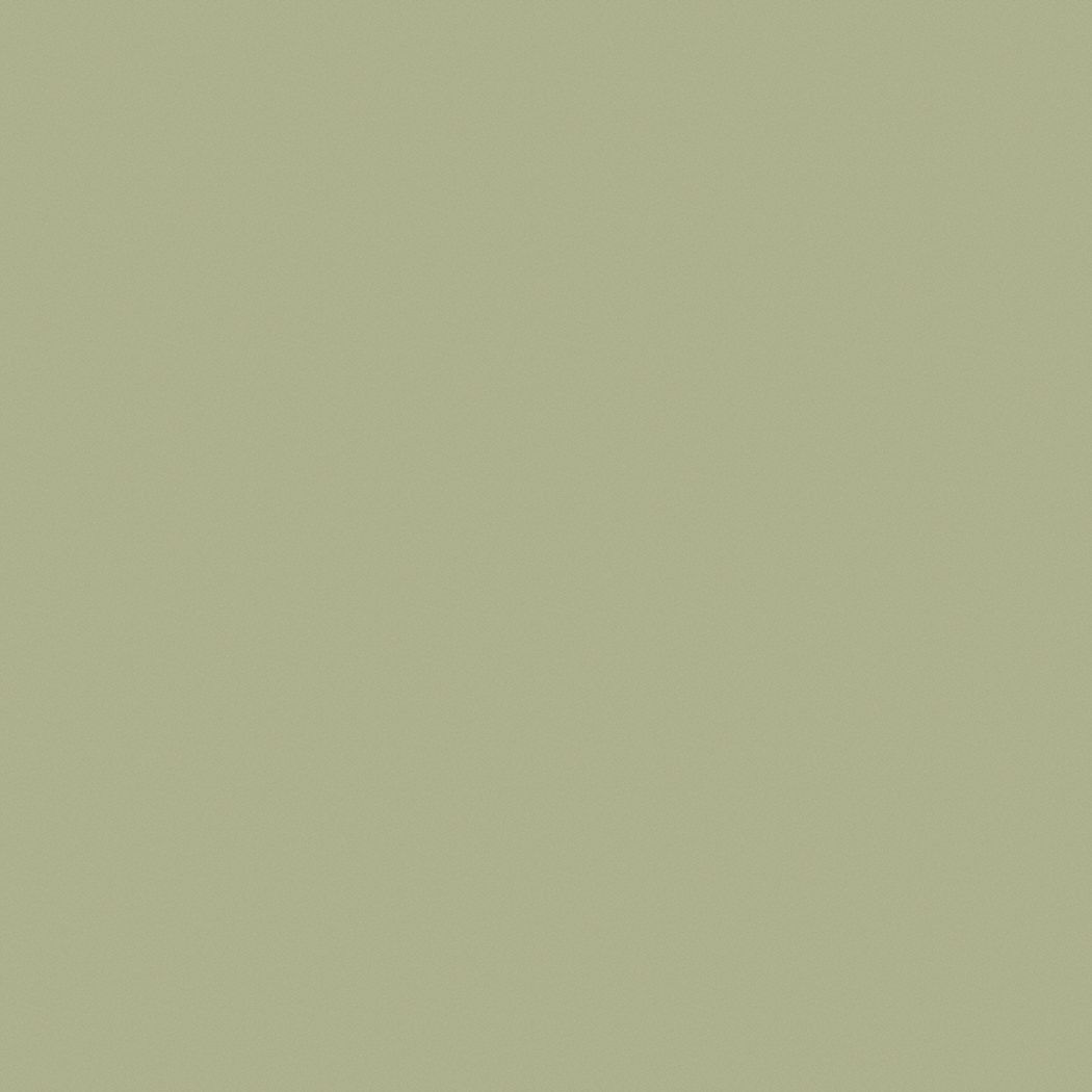 PRATT & LAMBERT MidSheen Interior Paint, Latex, Northern Green, 1 gal 39LP060000Z958116