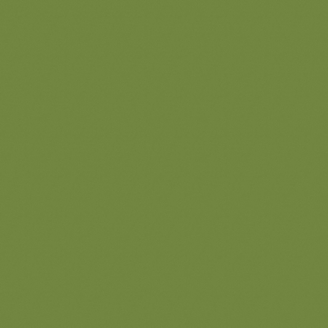 25 Inspiring Exterior House Paint Color Ideas Exterior Gloss Paint Green