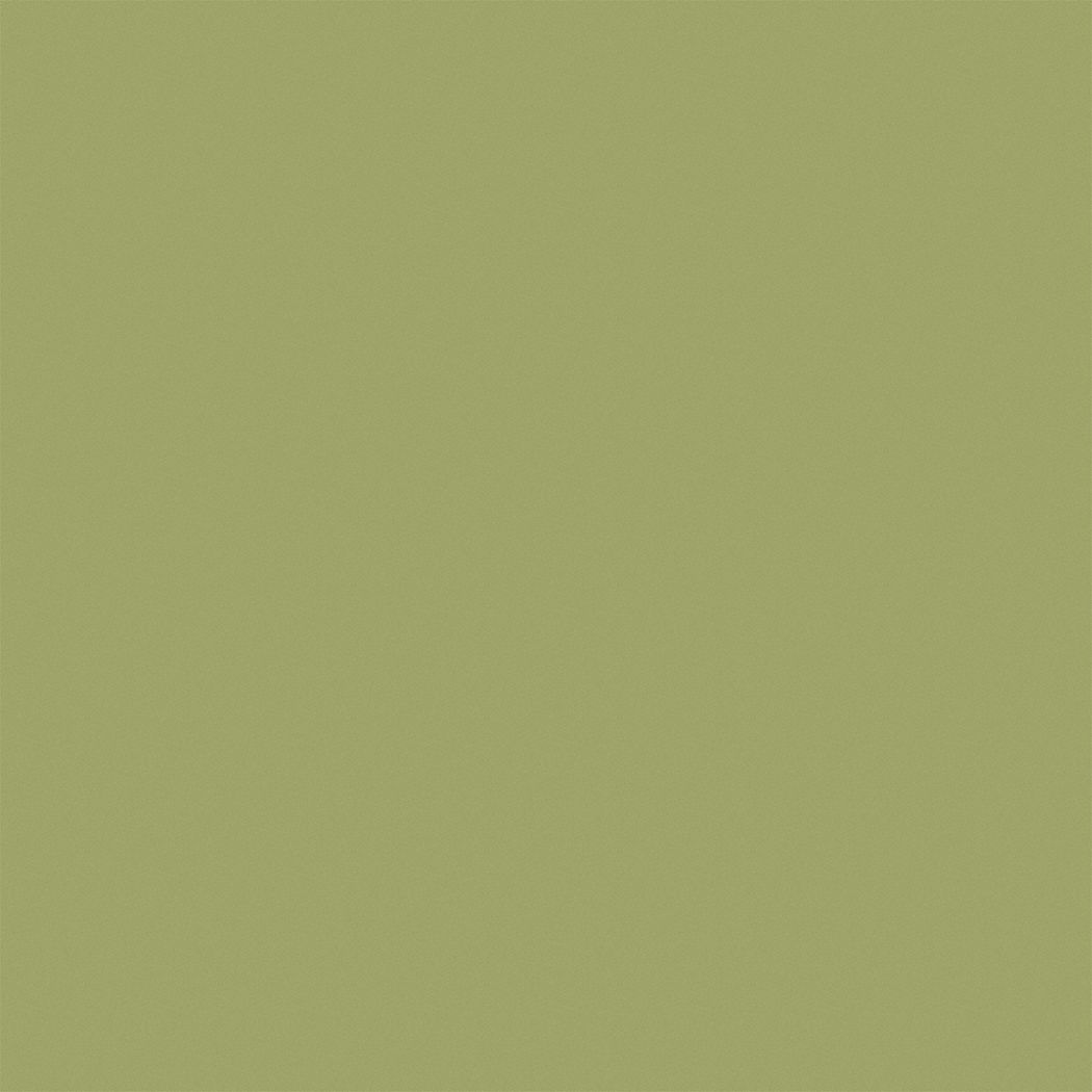 PRATT & LAMBERT Eggshell Exterior Paint, Latex Base, Palm Green, 5 gal