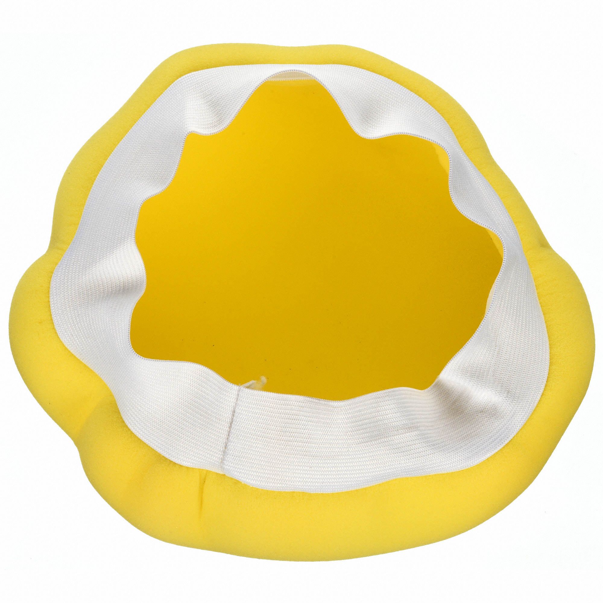 CARRAND Polishing 9 to 10 In., Foam 39R43640411AS Grainger