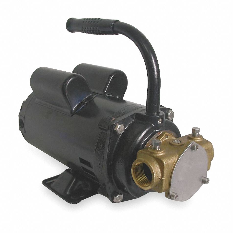 DAYTON 11.0/5.5 Amps 1 hp HP Flexible Impeller Pump, 36.7 psi psi, 11/