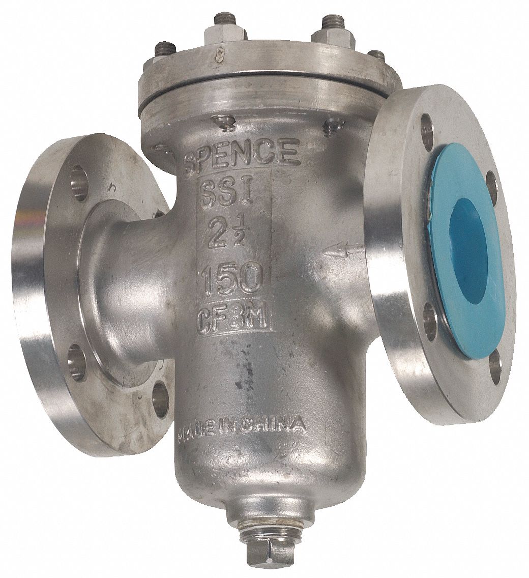 SSI Basket Strainer, 304 SS, 2.5", Flanged 3EJK20250150B1FTB