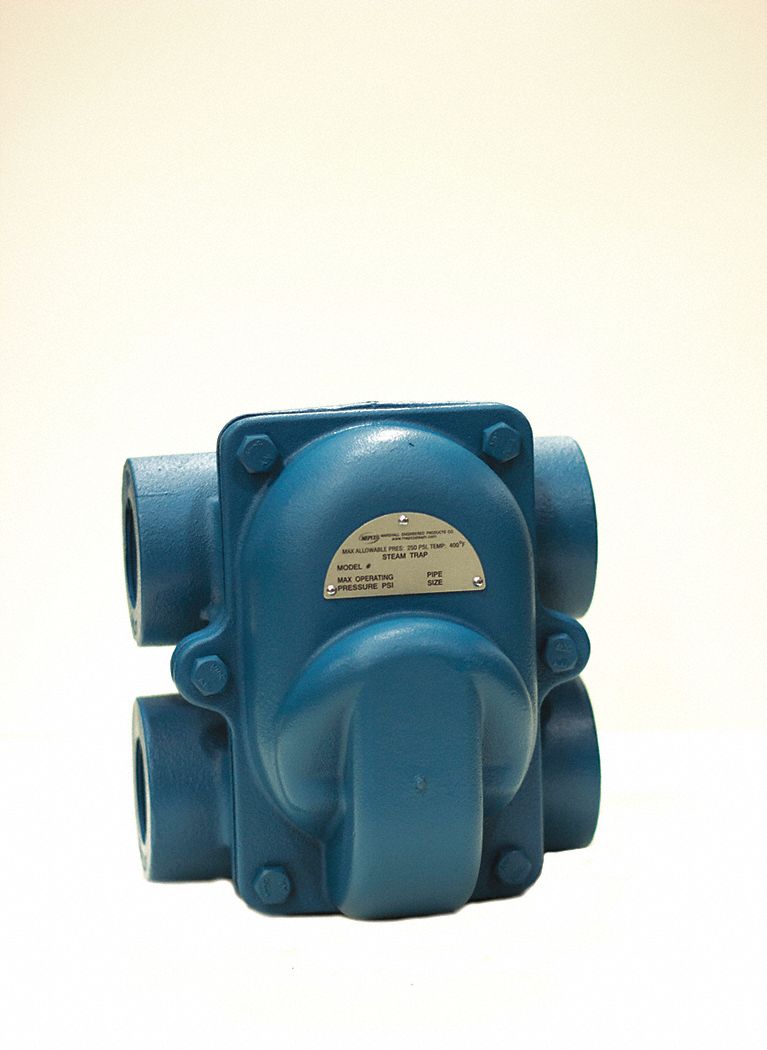 MEPCO/DUNHAM BUSH Steam Trap, 2 in (F)NPT Connections, 7 in End to End