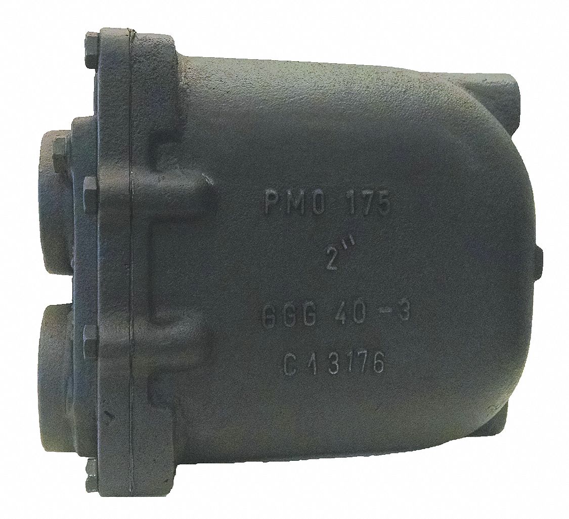 MEPCO/DUNHAM BUSH Steam Trap, 2" (F)NPT Connections, 161/2" End to End