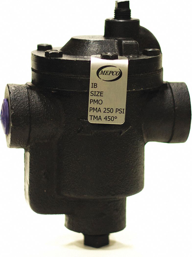 MEPCO/DUNHAM BUSH Steam Trap, 3/4 in (F)NPT Connections, 5 in End to