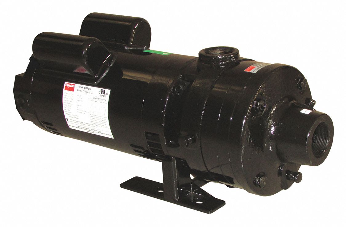 DAYTON 240V AC Booster Pump, 1Phase, 65 psi Max. Pressure, 11/2 in