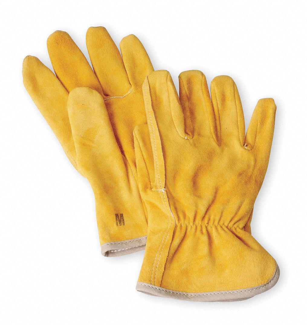 Leather Driver's Gloves, 1 PR Grainger