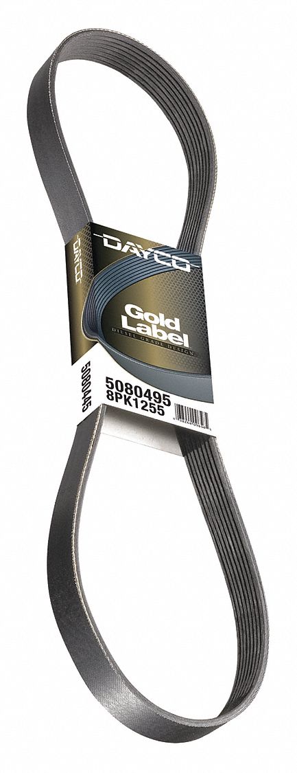 DAYCO POLY RIB GOLD LABEL V-RIBBED BELT,SERPENTINE,86.5" L - Automotive