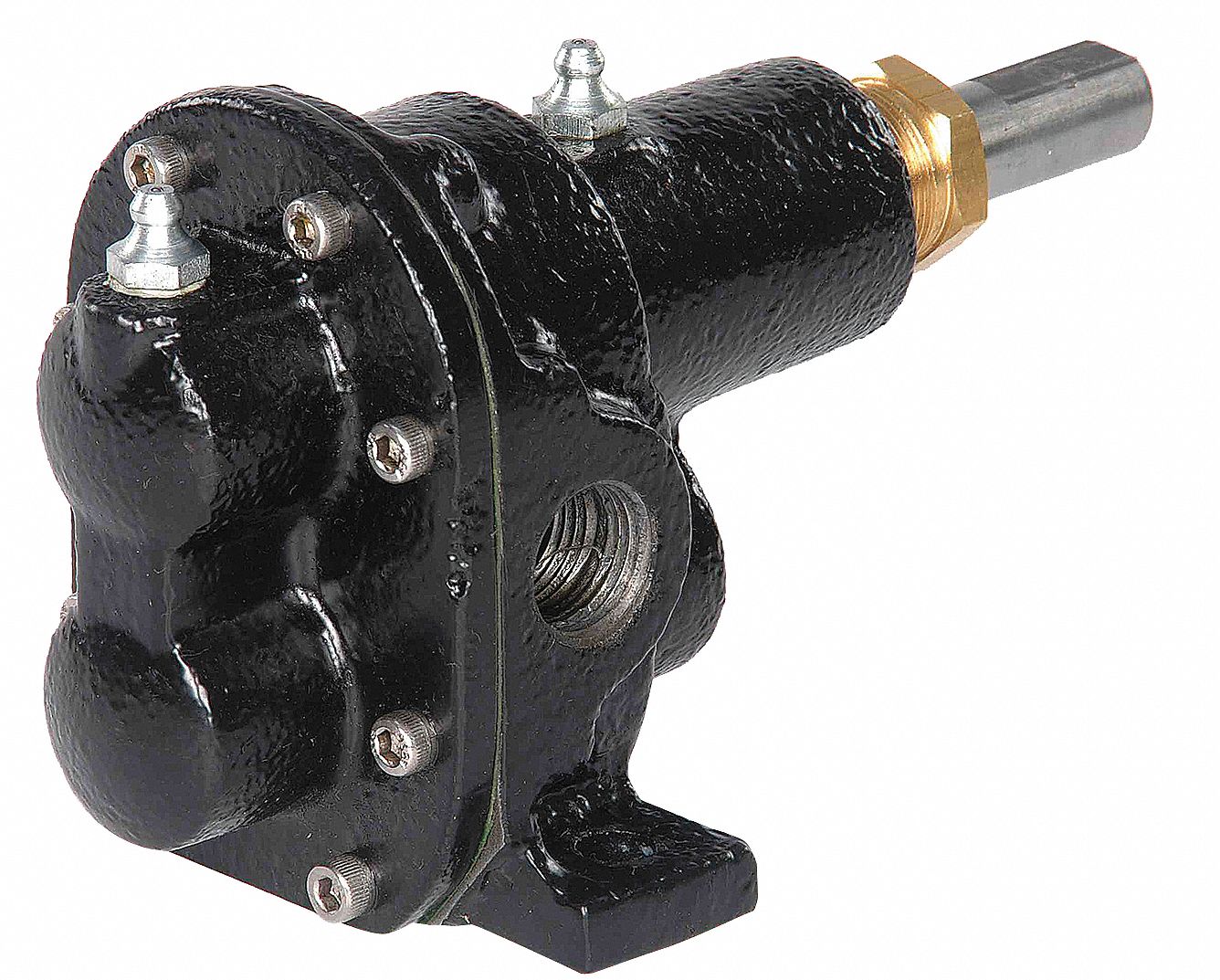 DAYTON 3/8 in LightDuty Cast Iron Rotary Gear Pump Head, Pedestal