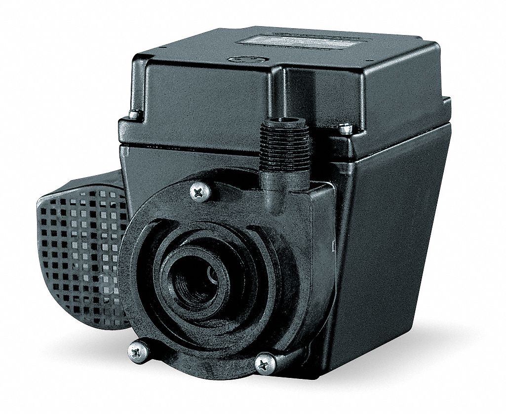 115V AC, 16.8 ft Max Head, Centrifugal Pump 4RK86503375 Grainger