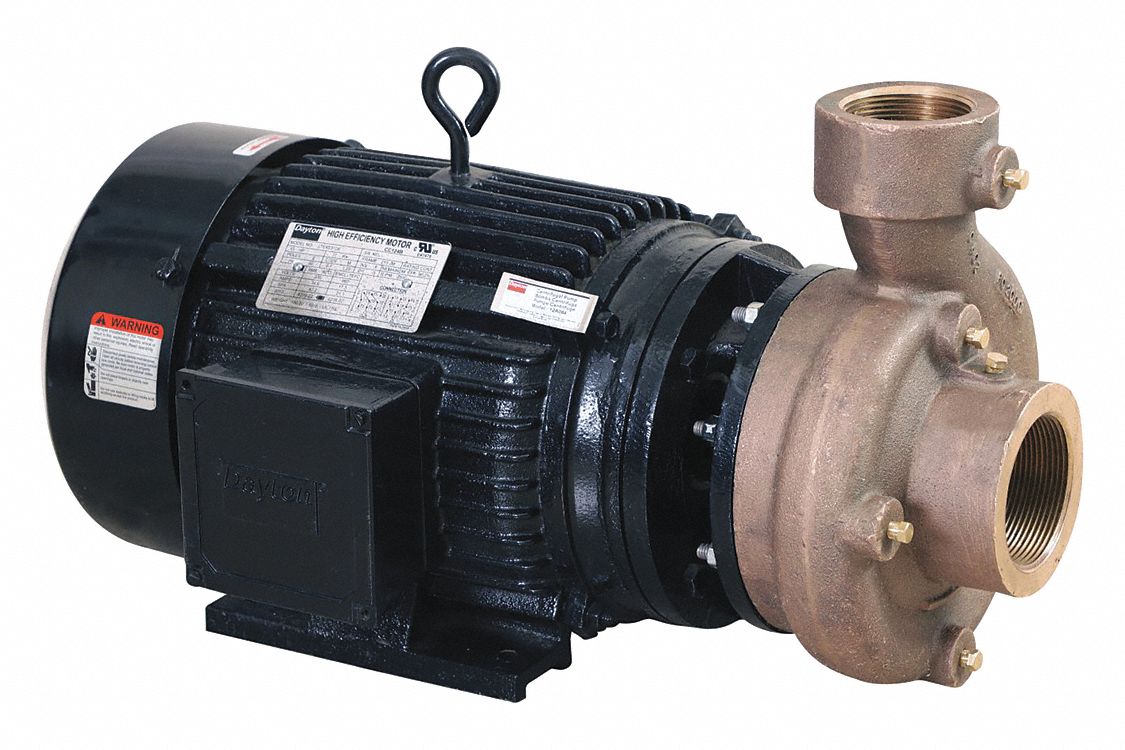 DAYTON Centrifugal Pump 5 hp HP Pumps, 208 to 240/480V AC, 47 psi Max. Pressure Pumps, 3