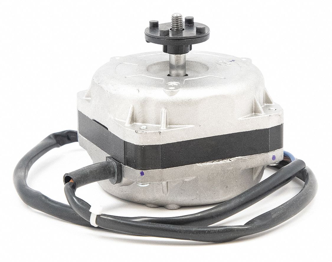 Crompton Cooler Motor Price