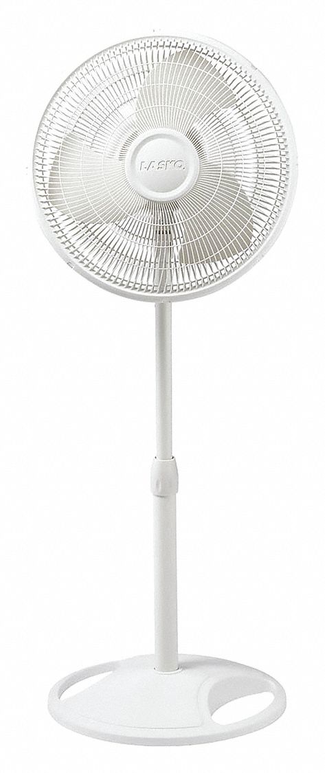 Oscillating Stand Fan,16",White - Grainger