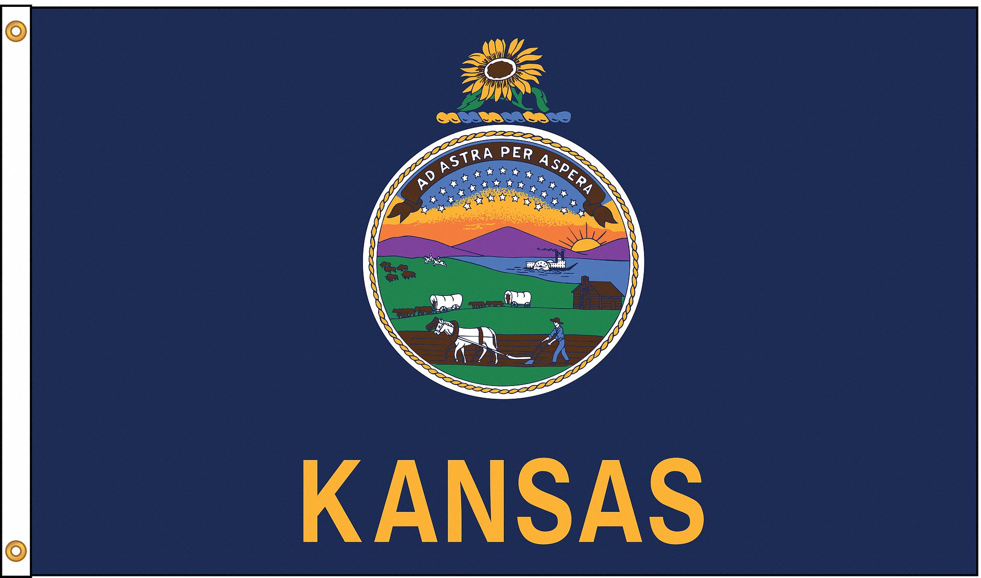 NYLGLO Kansas State Flag, 5 ft.H x 8 ft.W, Indoor, Outdoor 5JFH8