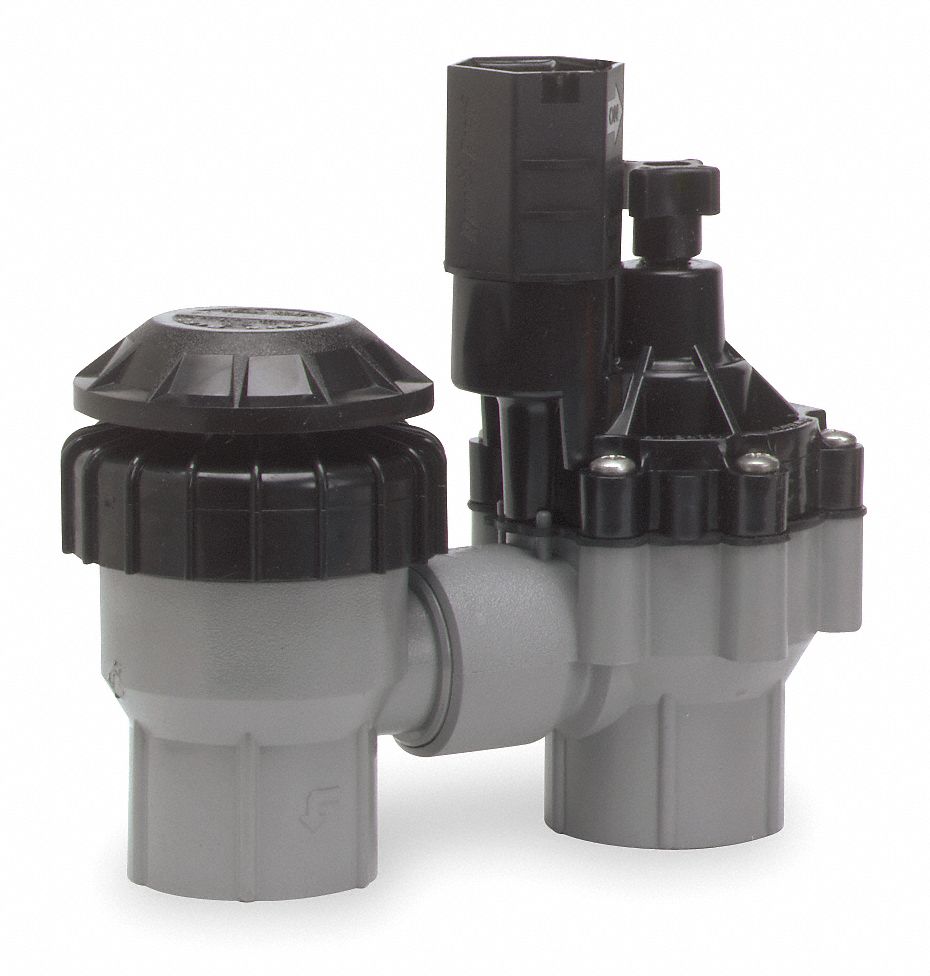 RAIN BIRD Valve, Antisiphon, 3/4in - 5Z297|DASASVF075 - Grainger