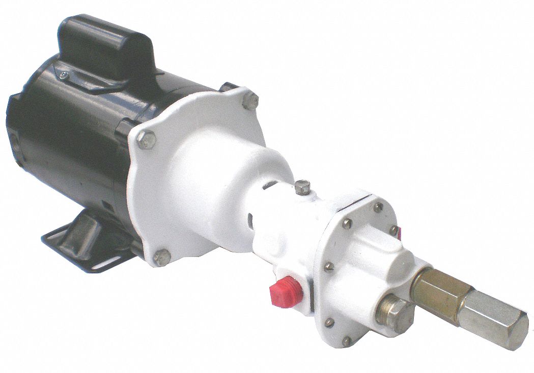 DAYTON, Cast Iron, 115/230, Rotary Gear Pump 6DHJ26DHJ2 Grainger