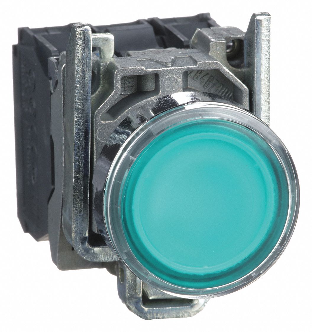 SCHNEIDER ELECTRIC Illuminated Push Button, 22 mm, Maintained