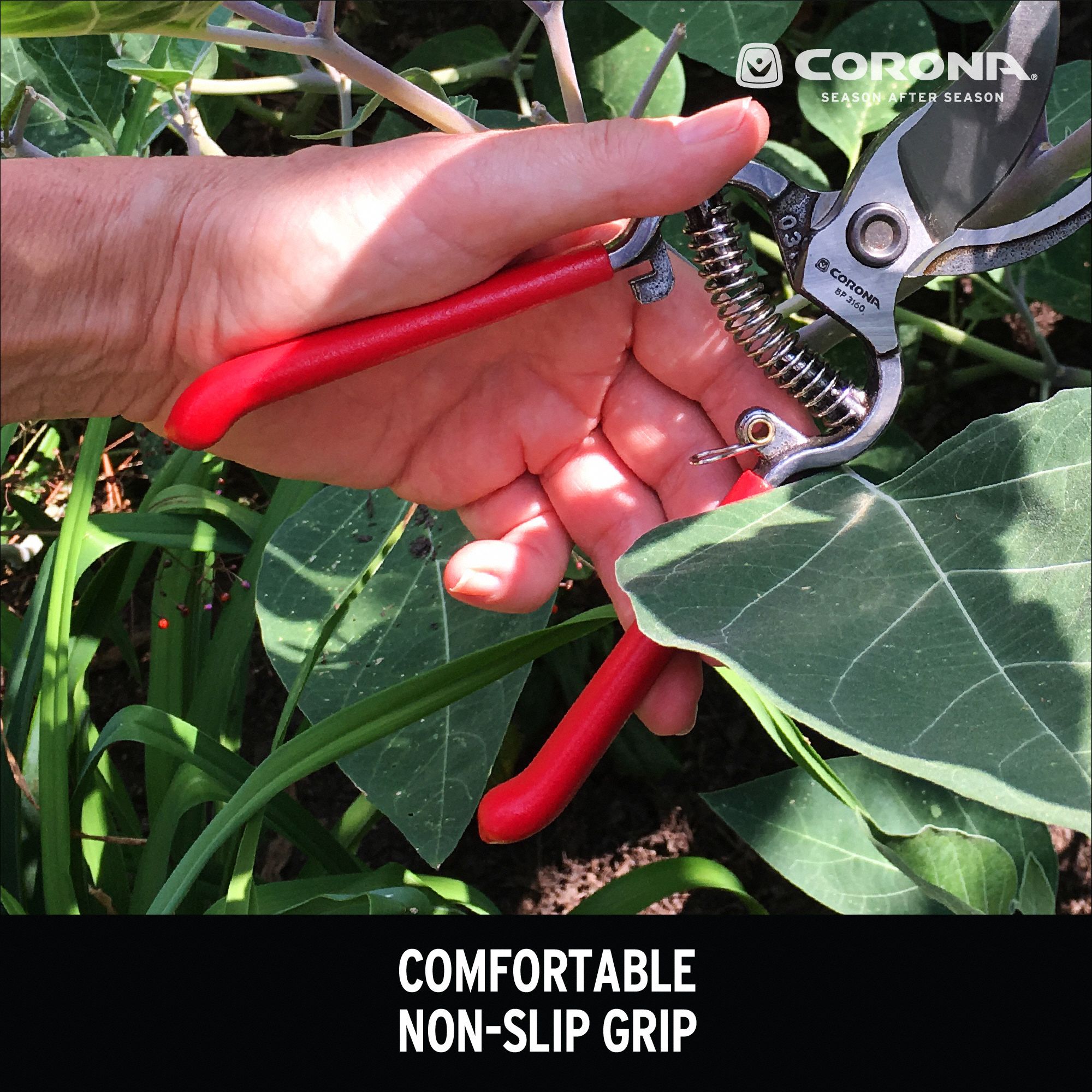 CORONA Bypass Pruner, 2 3/4 in Blade Length, Steel, 3/4 in Cutting