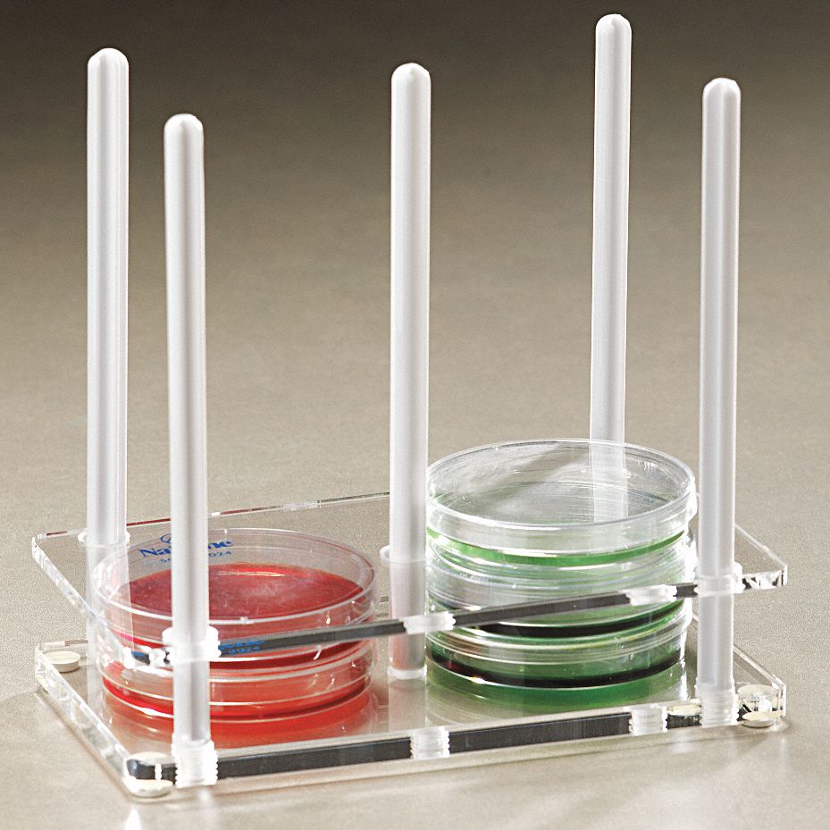 Petri Dish Rack, Clear Grainger