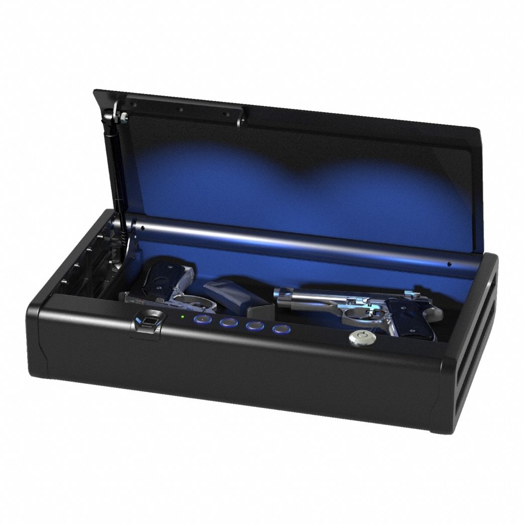 SENTRY SAFE, 16 lb Net Wt, 0.12 cu ft Capacity, Gun Safe - 806PK8