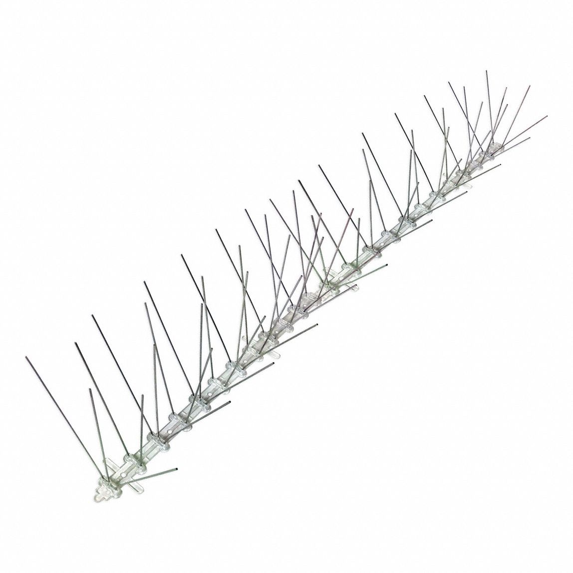 BIRDX, Plastic Base, Clear, Bird Repellent Spikes 6WB50STS10
