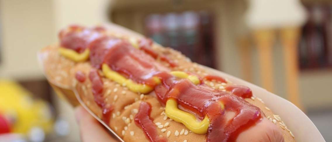 Fakta tentang hot dog