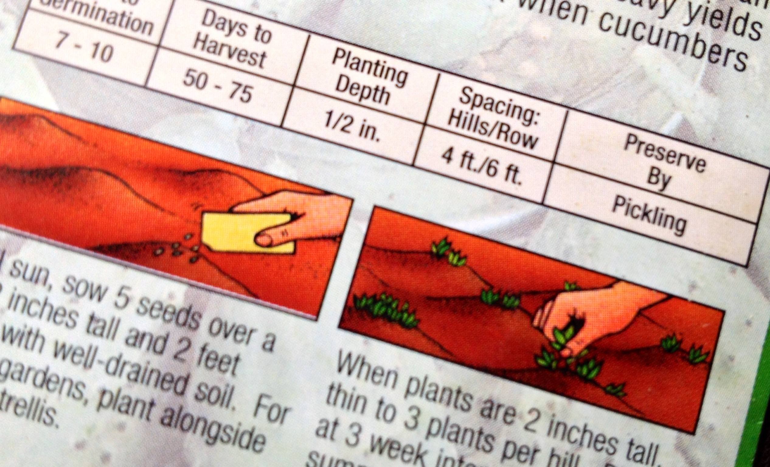 Planting From Seeds Organic Gardening on Guides