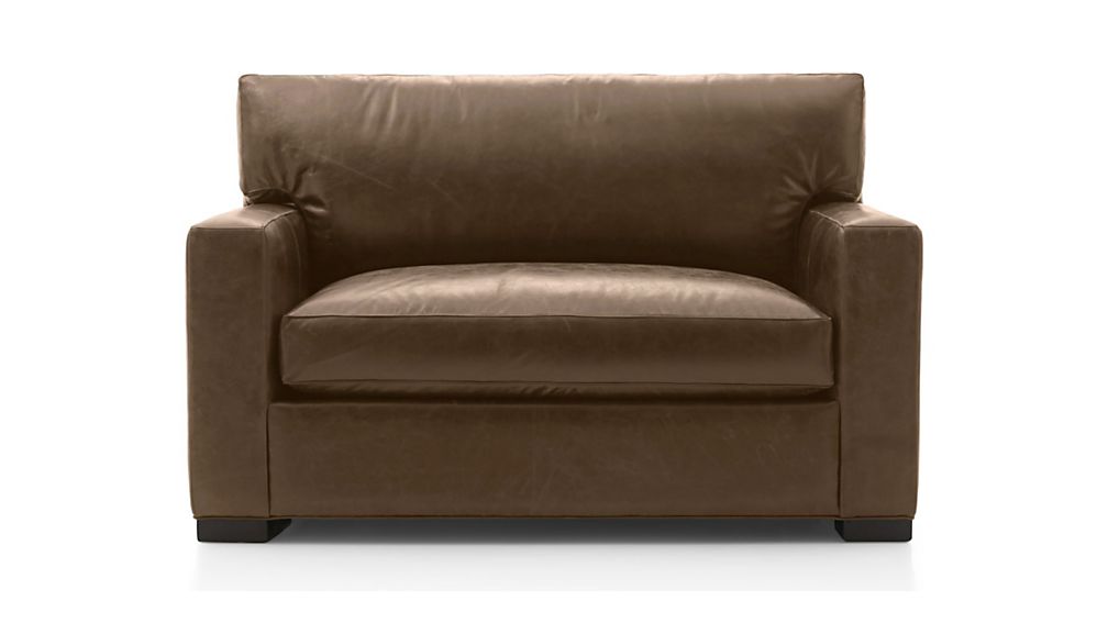 Axis Leather Twin Sleeper Sofa Crate and Barrel Havenly