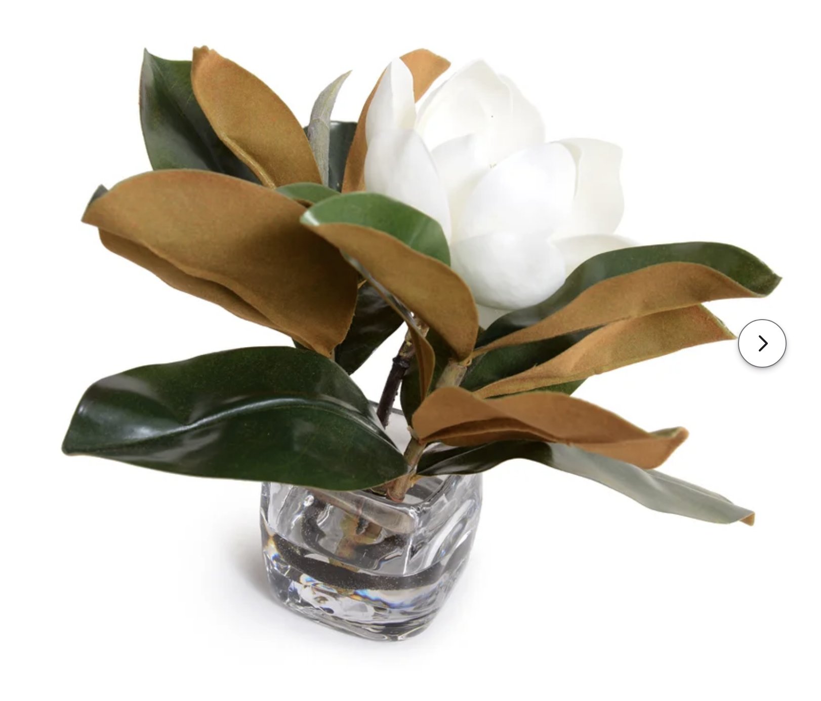 Magnolia Centerpiece in Vase Wayfair Havenly