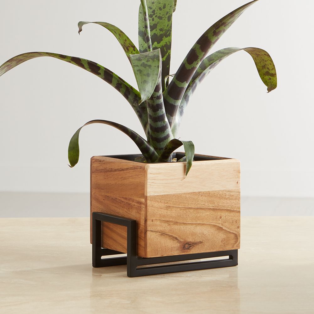 Arcaydia Small Tabletop Wood and Metal Planter Crate and Barrel Havenly