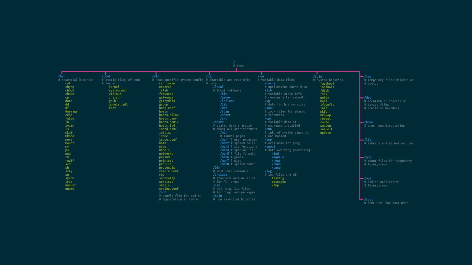 Navigating the Linux File System with the cd Command