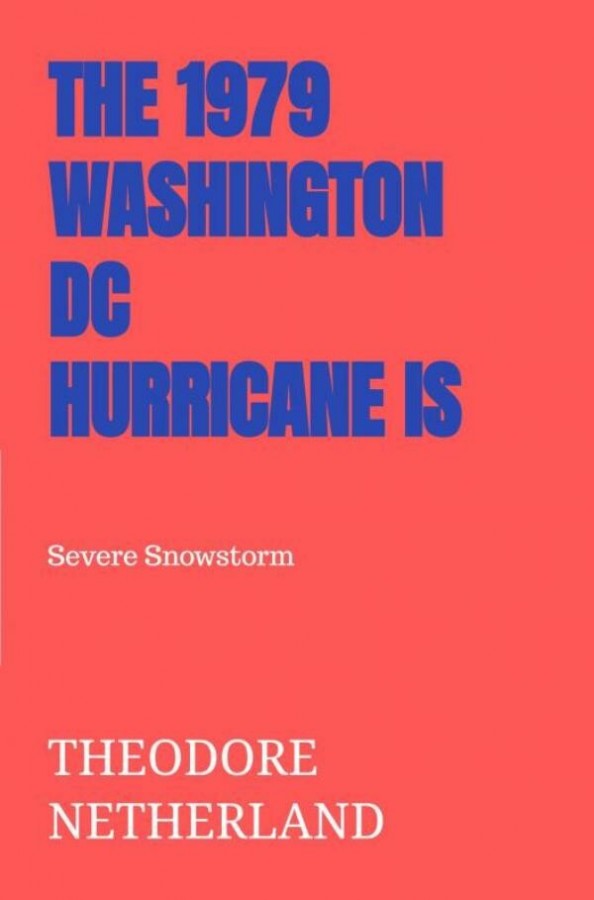 The 1979 Washington DC Hurricane is van Theodore Netherland