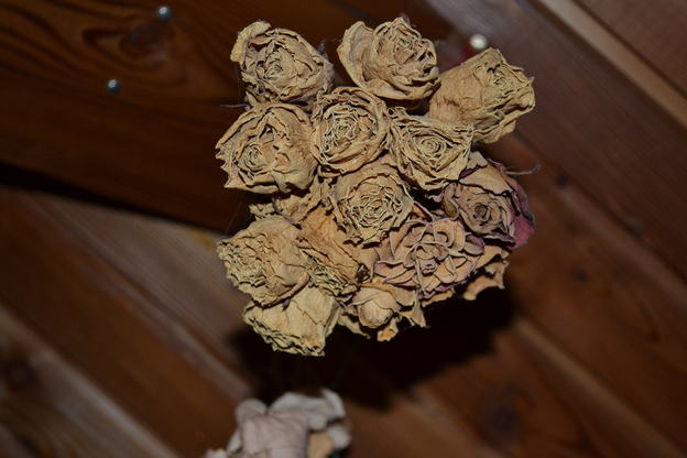 VIDEO Wie man Rosen richtig? Anleitung