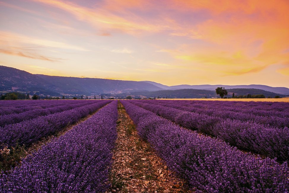 Top 18 des locations de vacances en Provence ᐅ Réservation immédiate