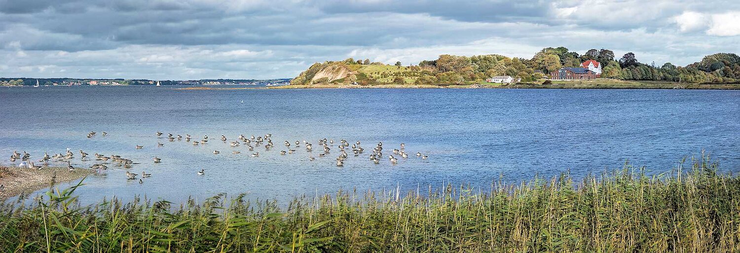 Die 10 besten Ferienwohnungen in der Flensburger Förde (Dänemark) ᐅ