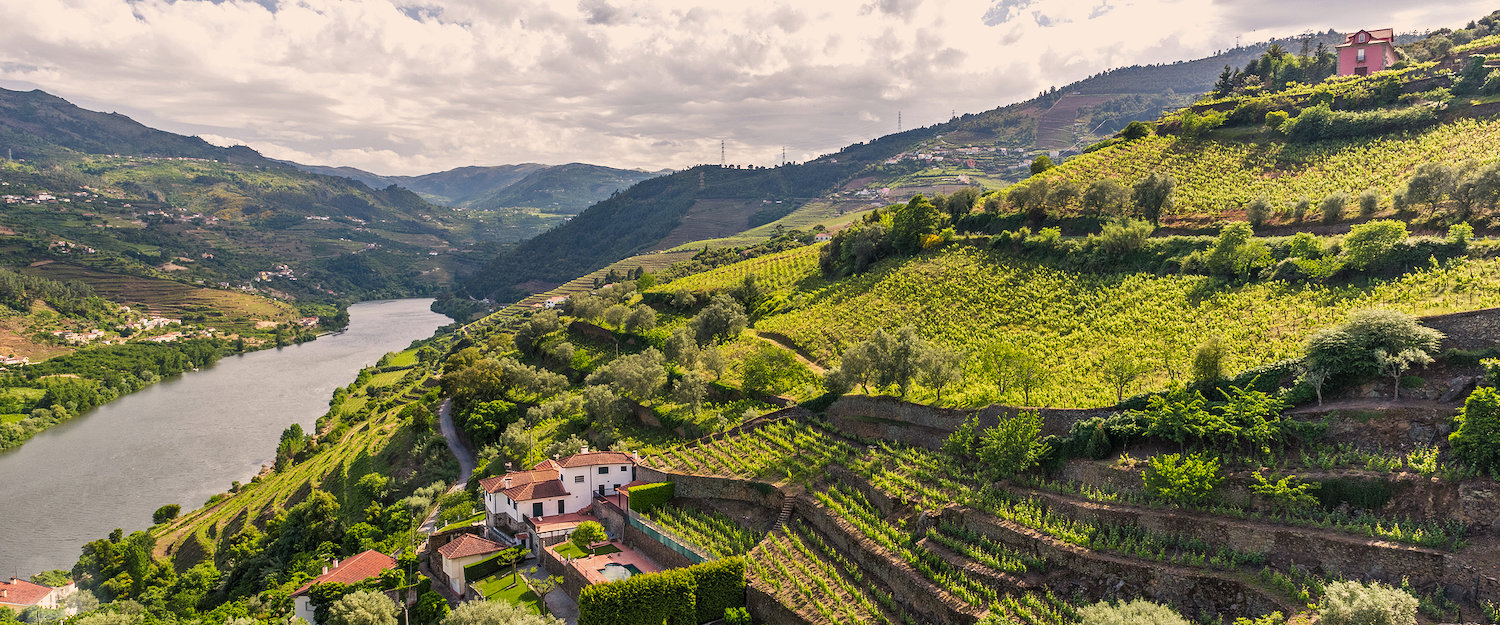 Top 18 Casas de Férias no Vale do Douro ᐅ Reserva Imediata